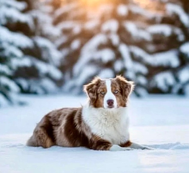 U are bella du domaine de nelson