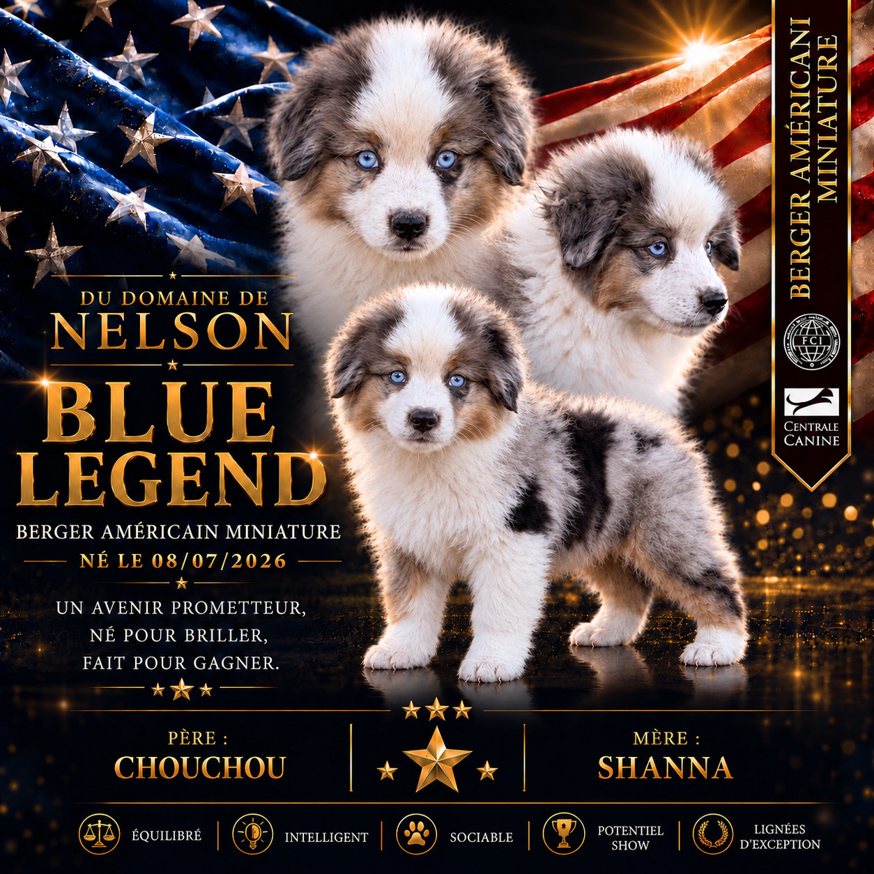 BLUE LEGEND du domaine de nelson