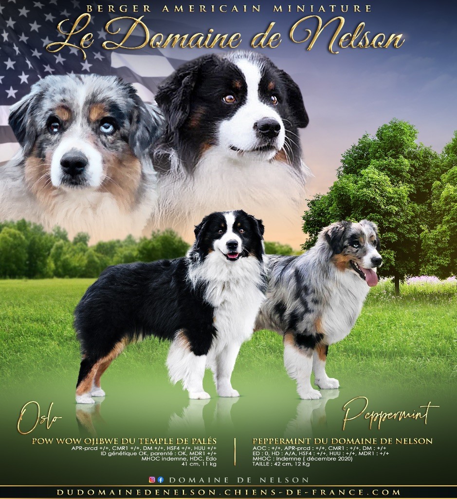 Bébés nés le 07/11/25